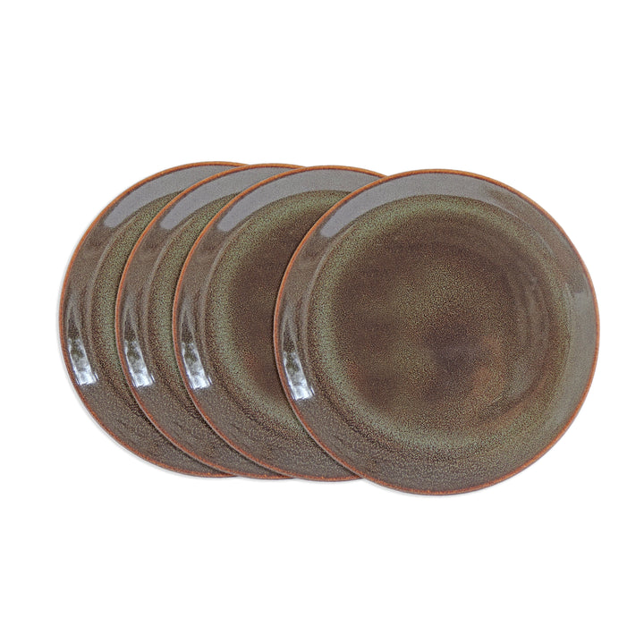 Dinnerware Plates Set of 4