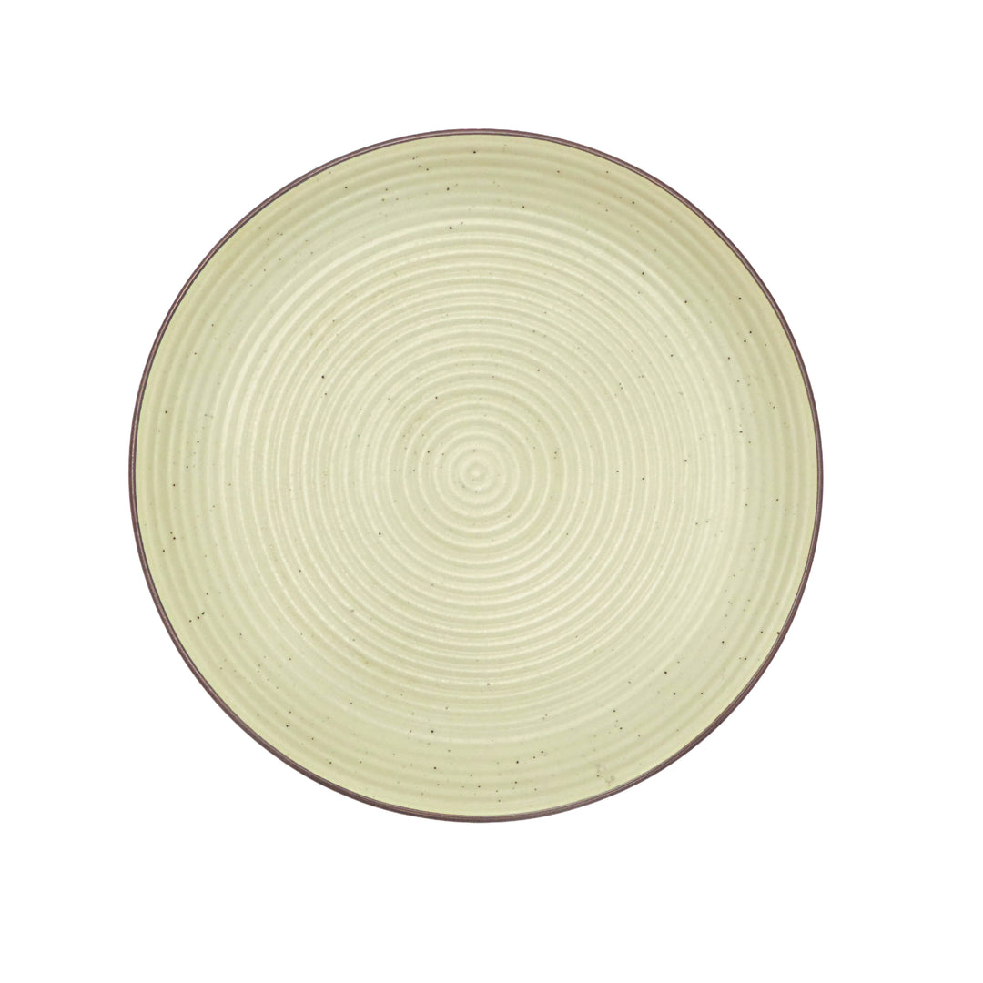 Dinnerware Plates Set of 4