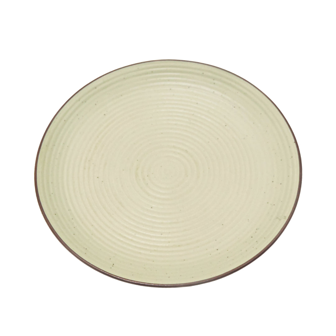 Dinnerware Plates Set of 4