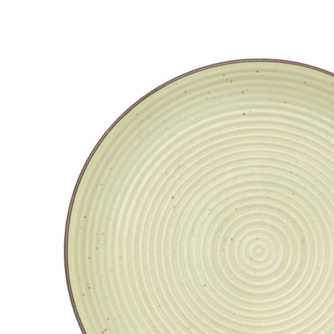 Dinnerware Plates Set of 4