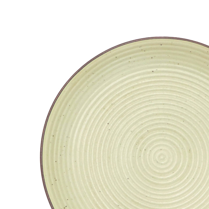 Dinnerware Plates Set of 4