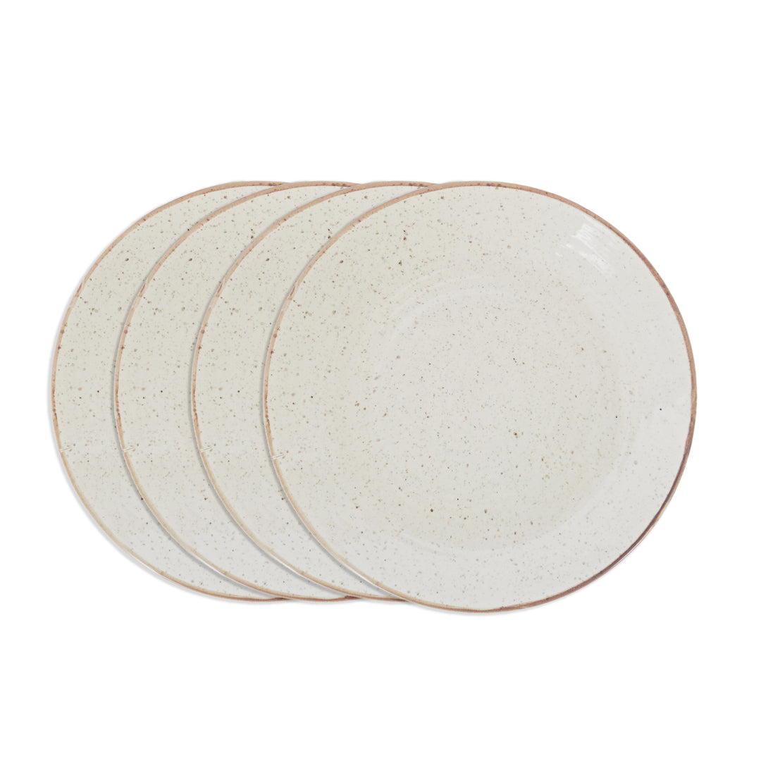 Dinnerware Plates Set of 4