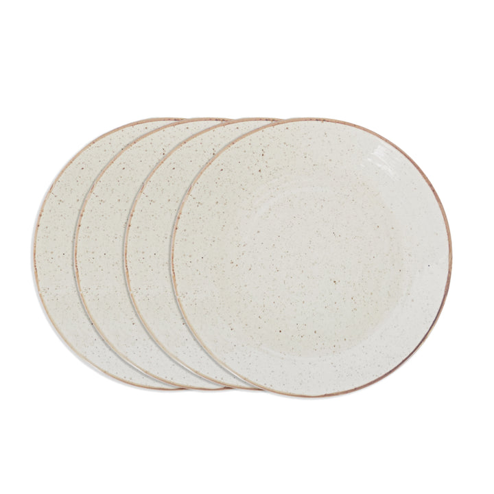 Dinnerware Plates Set of 4