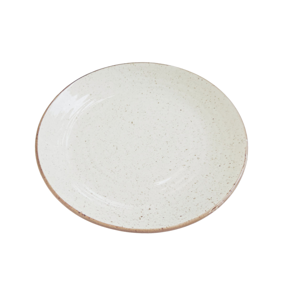 Dinnerware Plates Set of 4