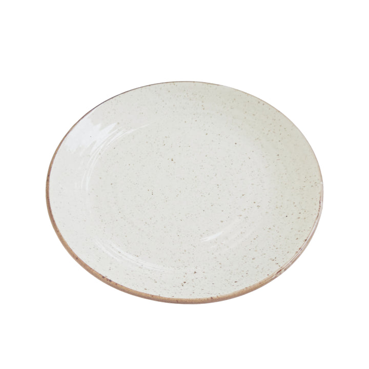 Dinnerware Plates Set of 4